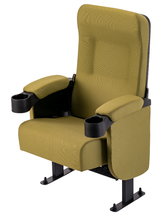 Auditorium Chairs