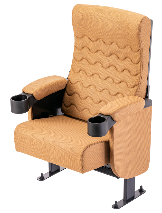 Auditorium Chairs